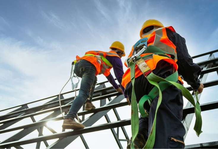 Progetto senza titolo (26)