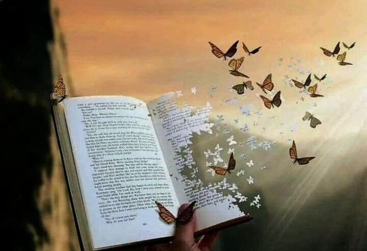 Progetto senza titolo (27)